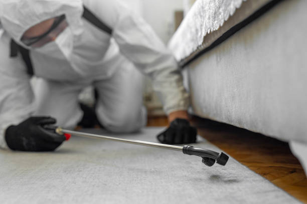 Professional Bed Bug Control technician working in Dix Hills, NY